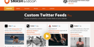 Custom Twitter Feeds Pro