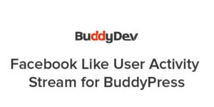 Facebook Like User Activity Stream for BuddyPress