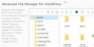 File Manager - Plugin For WordPress