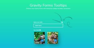 Gravity Forms Tooltips