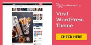 Viral - WordPress Theme For Social Media Marketers