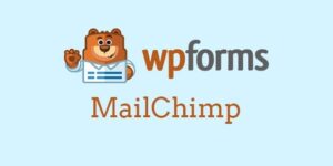 Download Monitor: MailChimp Lock