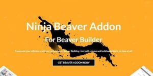 Ninja Beaver Pro - Addon For Beaver Builder