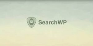 SearchWP: Term Archive Priority