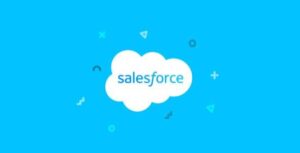 WP ERP Salesforce Contacts Sync