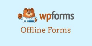 WPForms: Offline Forms