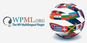 WPML Gravity Forms Multilingual