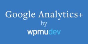 GOOGLE ANALYTICS +