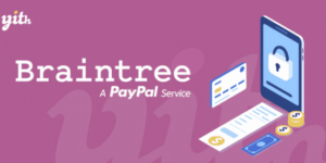 YITH PayPal Braintree for WooCommerce Premium