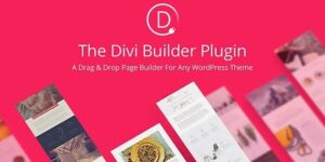 The Divi Builder