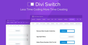 Divi Switch