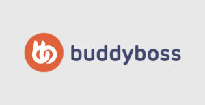 BuddyBoss Wall