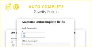 Gravity Forms Autocomplete - (+address field)