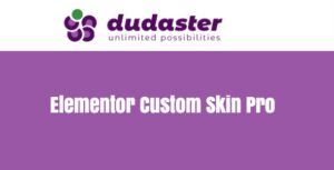 Elementor Custom Skin Pro