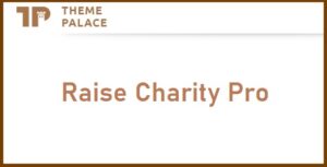 Theme Palace Raise Charity Pro