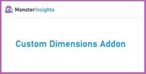 MonsterInsights Custom Dimensions Addon