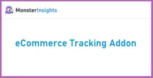 MonsterInsights eCommerce Tracking Addon