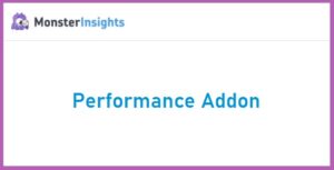 MonsterInsights Performance Addon