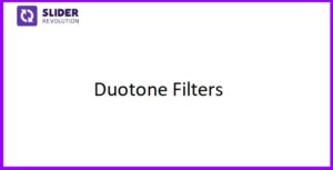 Slider Revolution Duotone Filters