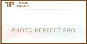 Theme Palace Photo Perfect Pro