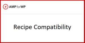 Recipe Compatibility for AMP