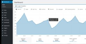 Laras Google Analytics Widget Pro