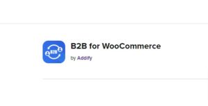 B2B for WooCommerce