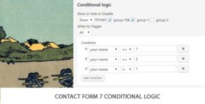 Contact Form 7 Conditional Logic