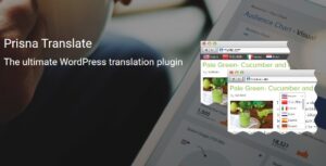Prisna WP Translate