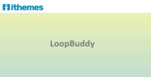 iThemes LoopBuddy