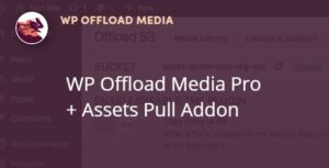 WP Offload Media Pro + Assets Pull Addon