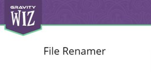 Gravity Forms File Renamer