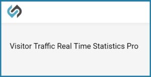 Visitor Traffic Real Time Statistics pro