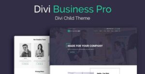 Divi Business Pro