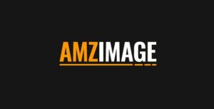 AMZ Image - Fastest Way To Insert Amazon Product Images in WordPress