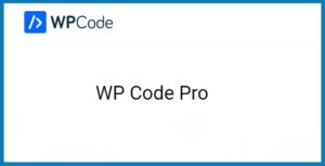 WPCode Pro