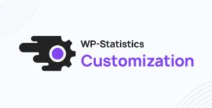 WP-Statistics Customization