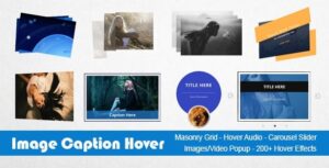 Image Caption Hover Pro