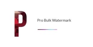 Pro Bulk Watermark