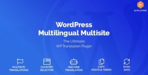 WordPress Multilingual Multisite