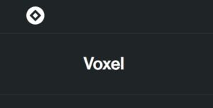 Voxel