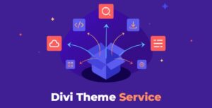 Divi Service Theme