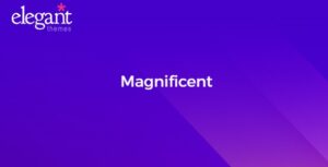 Elegant Themes Magnificent