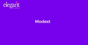 Elegant Themes Modest