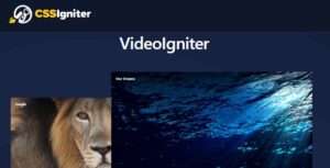 VideoIgniter Pro