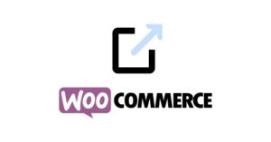 WPDESK Dropshipping Export Products for WooCommerce